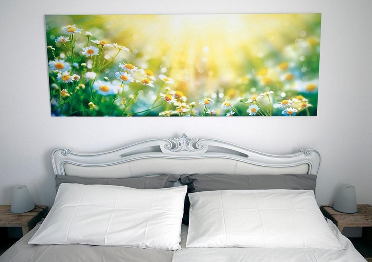 B&B Beauty House Cesena Extérieur photo